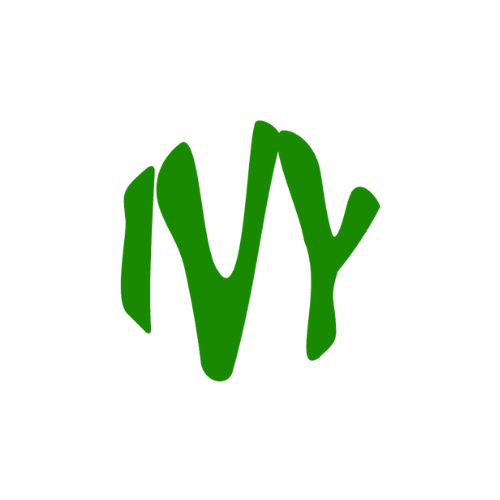 Mi tienda